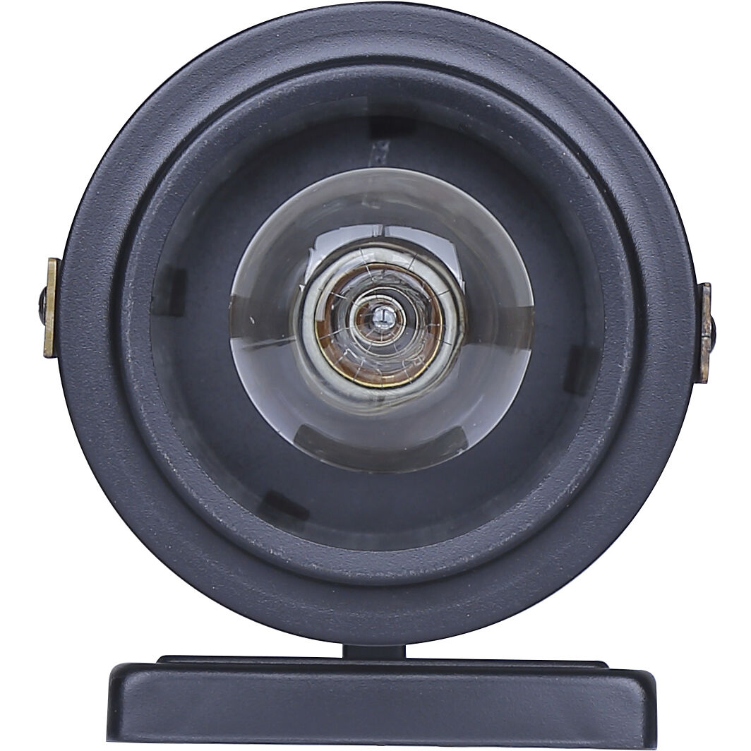 Maddox 1 Light 11.25 inch Black Outdoor Wall Lantern