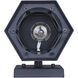 Buckly 1 Light 10.25 inch Black Outdoor Wall Lantern