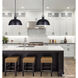 Polo 1 Light 16 inch Black Pendant Lighting Ceiling Light