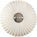 Audrey 1 Light 15 inch Antique Brass Pendant Ceiling Light