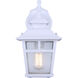 Madison 1 Light 11 inch White Outdoor Downlight