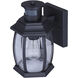 Buckly 1 Light 10.25 inch Black Outdoor Wall Lantern