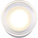 Benni Wall Light in Brushed Nickel