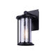 Julee 6 inch Black and Chrome Outdoor Lighting