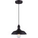 Madison 1 Light 10 inch Oil Rubbed Bronze Pendant Ceiling Light
