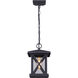 Madison 1 Light 8 inch Black Outdoor Pendant