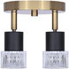 Elsee 2 Light Black/Gold Track Lighting Ceiling Light