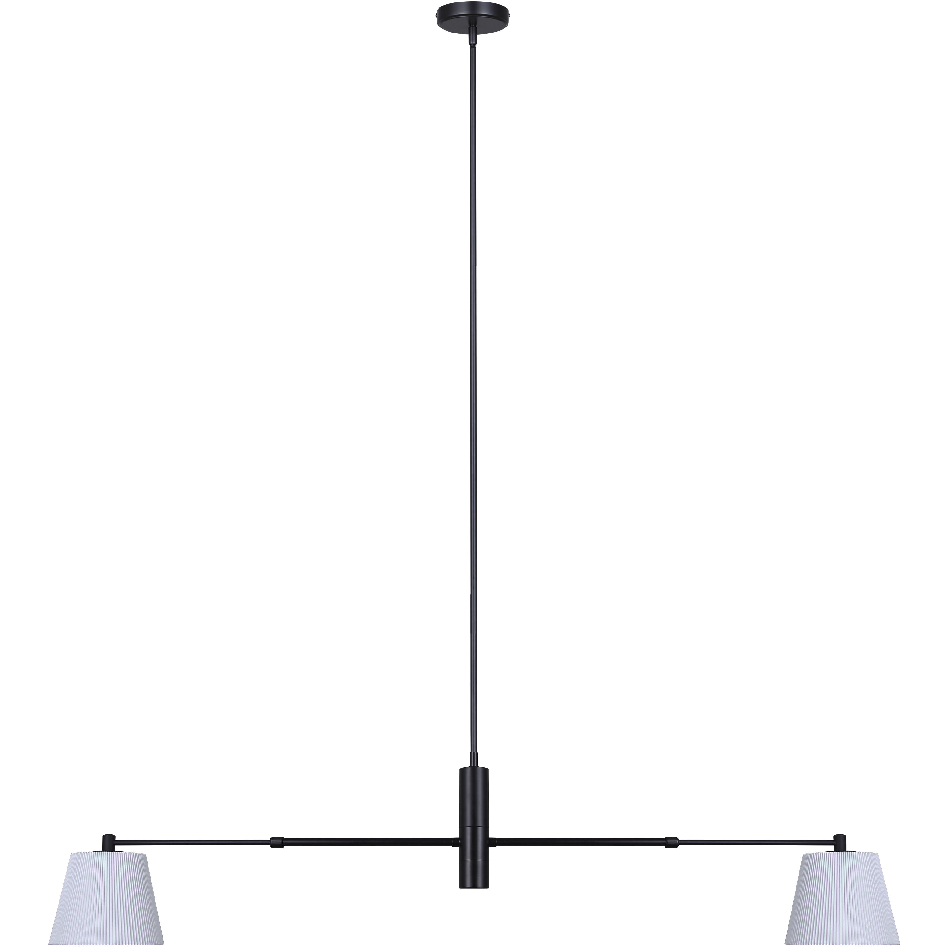 Aspen 2 Light 15.5 inch Black Pendant Ceiling Light