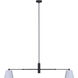 Aspen 2 Light 15.5 inch Black Pendant Ceiling Light