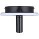 Denver Black Track Lighting Ceiling Light