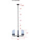 Benson 5 Light 23 inch Black Chandelier Ceiling Light