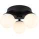 Nylah 3 Light Matte Black Ceiling Track Light Ceiling Light