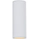 Rexton 2 Light 11.75 inch White Outdoor Wall Lantern