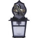 Madison 1 Light 11 inch Black Outdoor Downlight