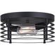 Alder 2 Light 13 inch Matte Black Flush Mount Ceiling Light