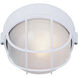 Marine 1 Light 7.5 inch White Outdoor Lantern, Marine Light