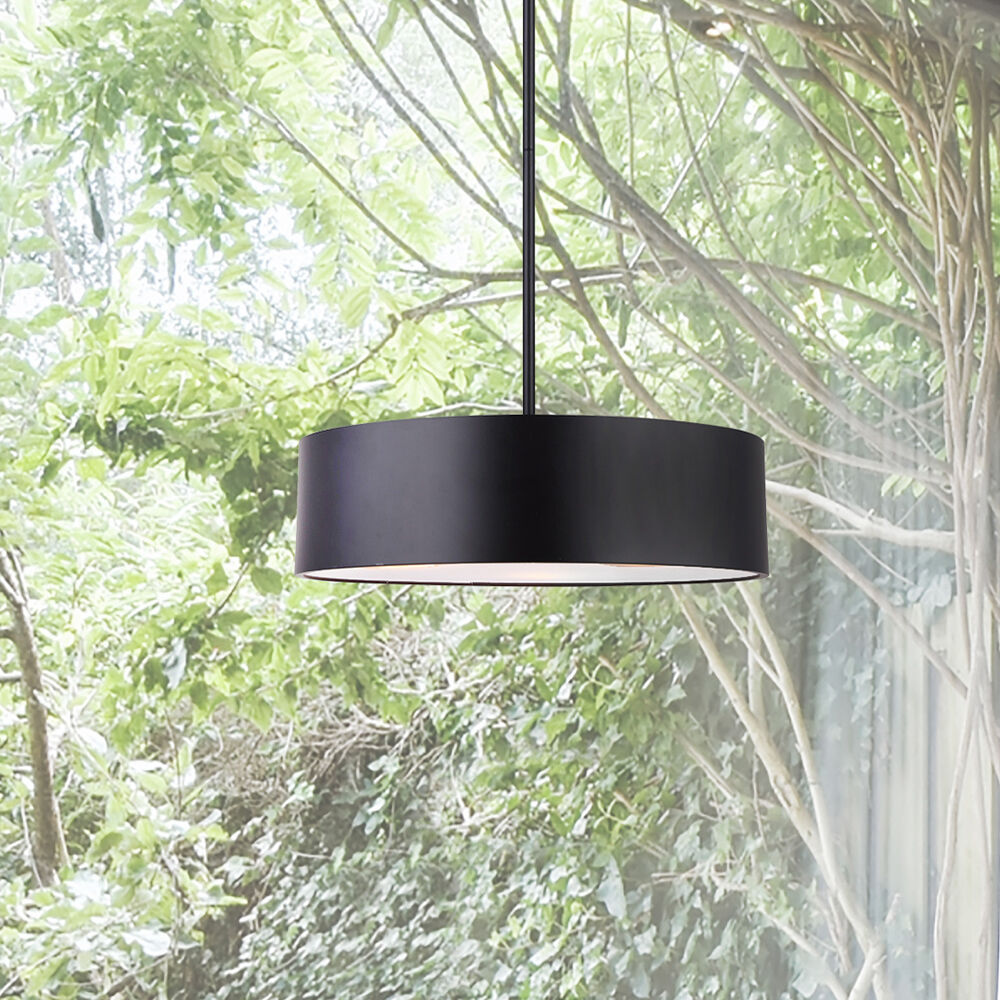 Dexter 3 Light 15.75 inch Matte Black Pendant Ceiling Light