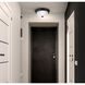Canarm Classic 1 Light 11 inch Matte Black Flush Mount Ceiling Light in Frosted Glass, Twin Pack