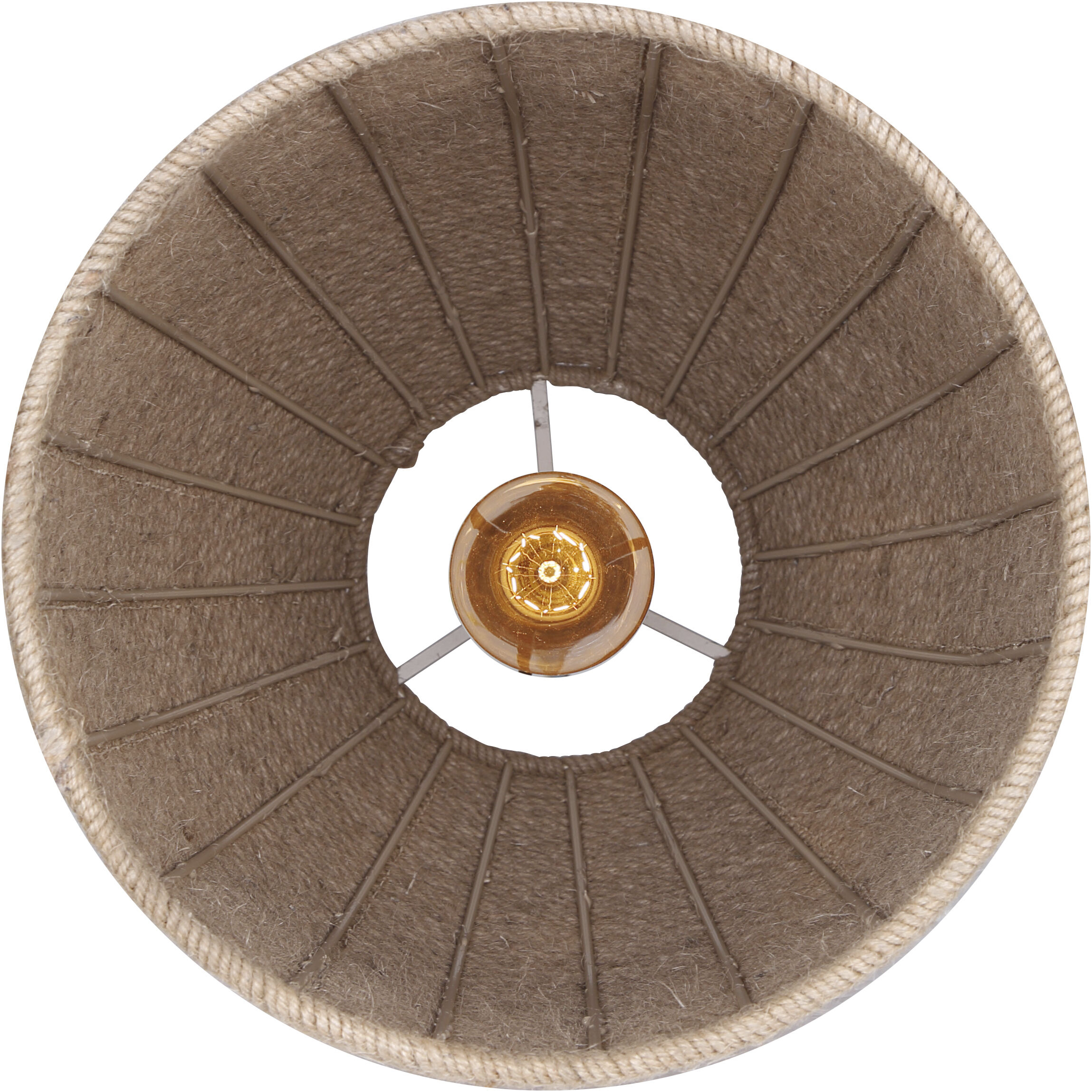 Aubrie 1 Light 12 inch Matte Black/Rope Color Pendant Ceiling Light