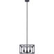 Zelie 3 Light 13.75 inch Black Chandelier Ceiling Light