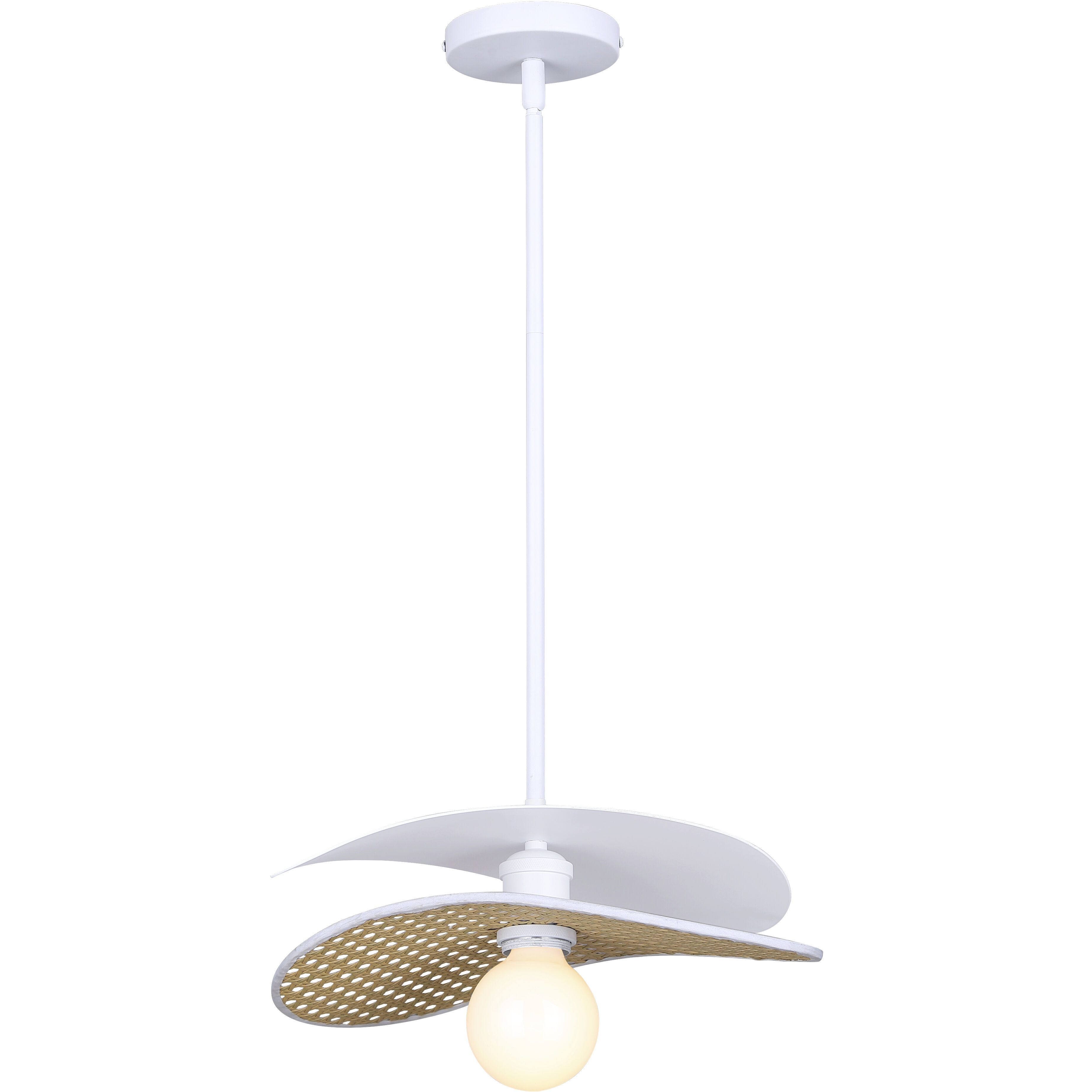 Elodie 1 Light 13.75 inch Pendant