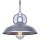 Desi 1 Light 10 inch Distressed Galvanized Outdoor Wall Lantern