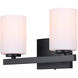 Jae 2 Light 14 inch Matte Black Vanity Light Wall Light
