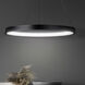Evina LED 23.63 inch Black Chandelier Ceiling Light
