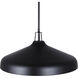 Holland 4 Light 22 inch Black Pendant Ceiling Light