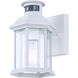Kersley 1 Light 6.25 inch Outdoor Pendant/Chandelier