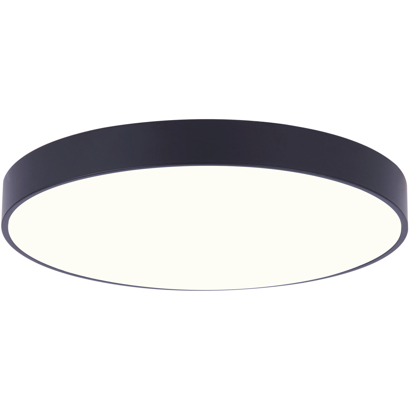 Madison 120V LED 5 inch Black Disk Light