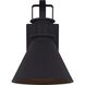 Avery 1 Light 11 inch Black Outdoor Down Light