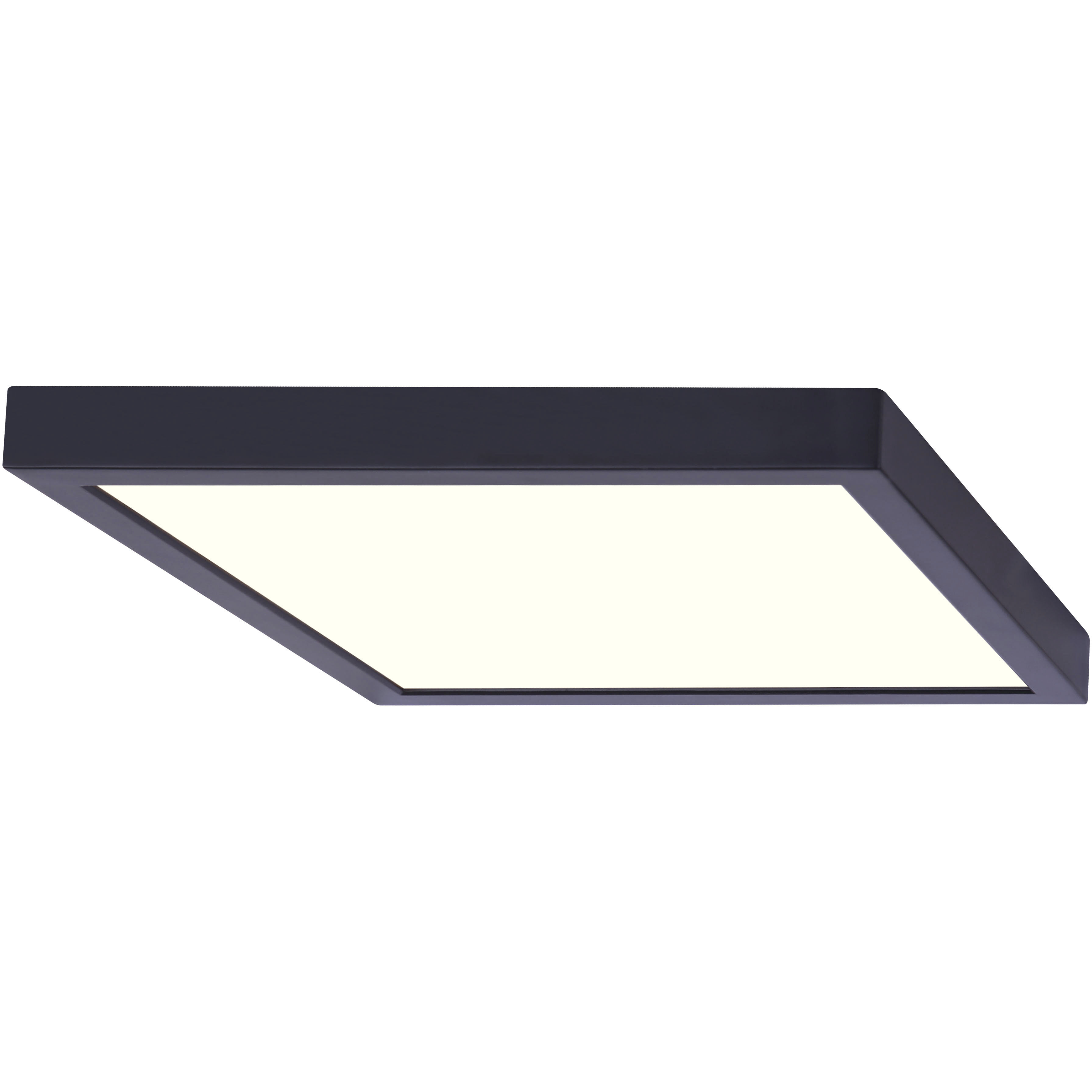 Canarm LED 11 inch Black Disc Light