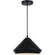Byck 13 inch Black Pendant Lighting Ceiling Light