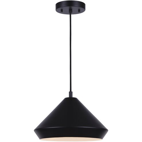 Byck 13 inch Black Pendant Lighting Ceiling Light