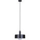 Daylon 1 Light 12.63 inch Matte Black Pendant Ceiling Light