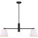 Aspen 2 Light 15.5 inch Black Pendant Ceiling Light