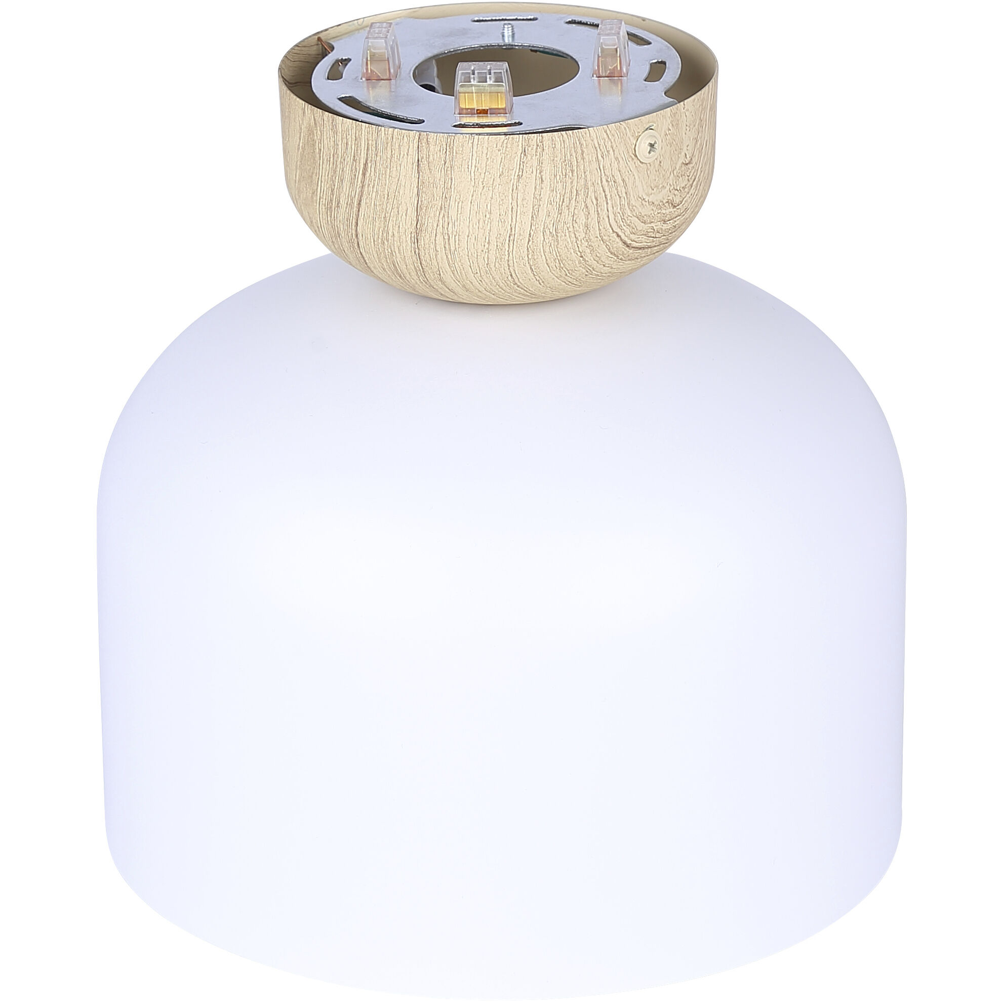 Caleb 1 Light 9 inch Matte White & Wood Flush Mount Ceiling Light