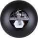 Kelvin LED 15.63 inch Black/Gold Pendant Ceiling Light in Black And Gold