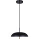 Kelvin LED 15.63 inch Black/Gold Pendant Ceiling Light in Black And Gold