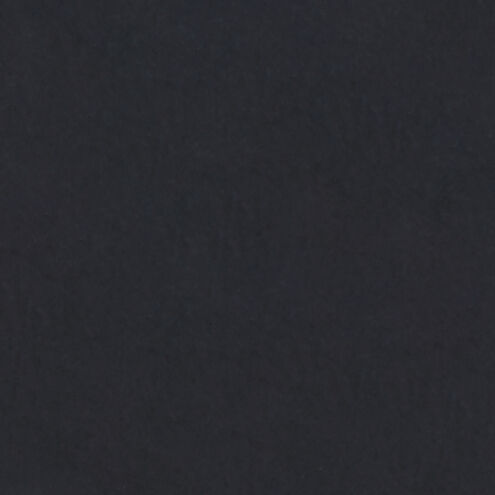 Orillia 1 Light 9.75 inch Black Outdoor Lantern