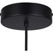 Daylon 1 Light 12.63 inch Matte Black Pendant Ceiling Light