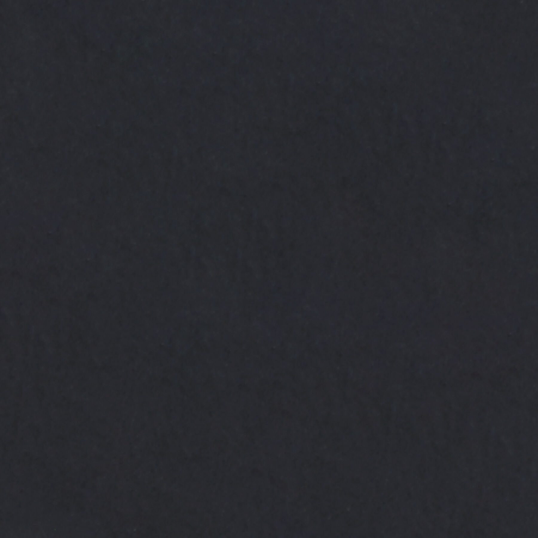 Pelia Sconce Wall Light