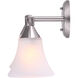 Madison 3 Light 20 inch Brushed Pewter Vanity Light Wall Light