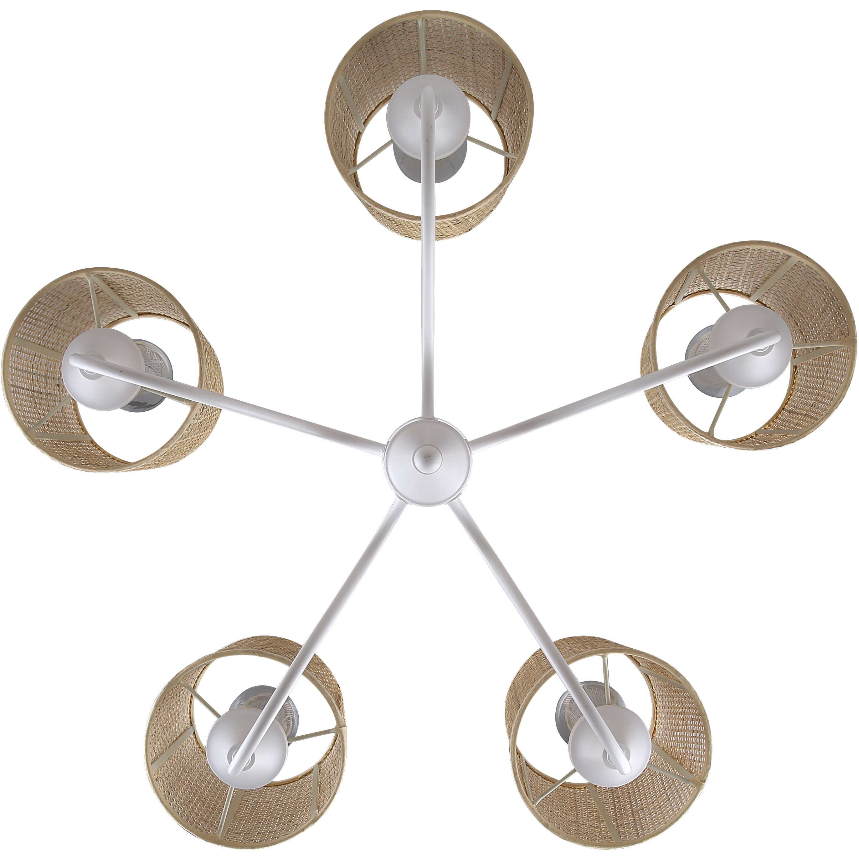 Daisey 5 Light 27 inch White Chandelier Ceiling Light