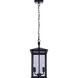Rossland 2 Light 8.5 inch Matte Black Outdoor Pendant Light