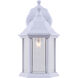 Madison 1 Light 8 inch White Outdoor Lantern, Downlight