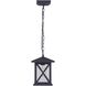 Madison 1 Light 8 inch Black Outdoor Pendant