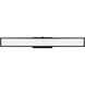 Pax LED 36 inch Matte Black Vanity Light Wall Light