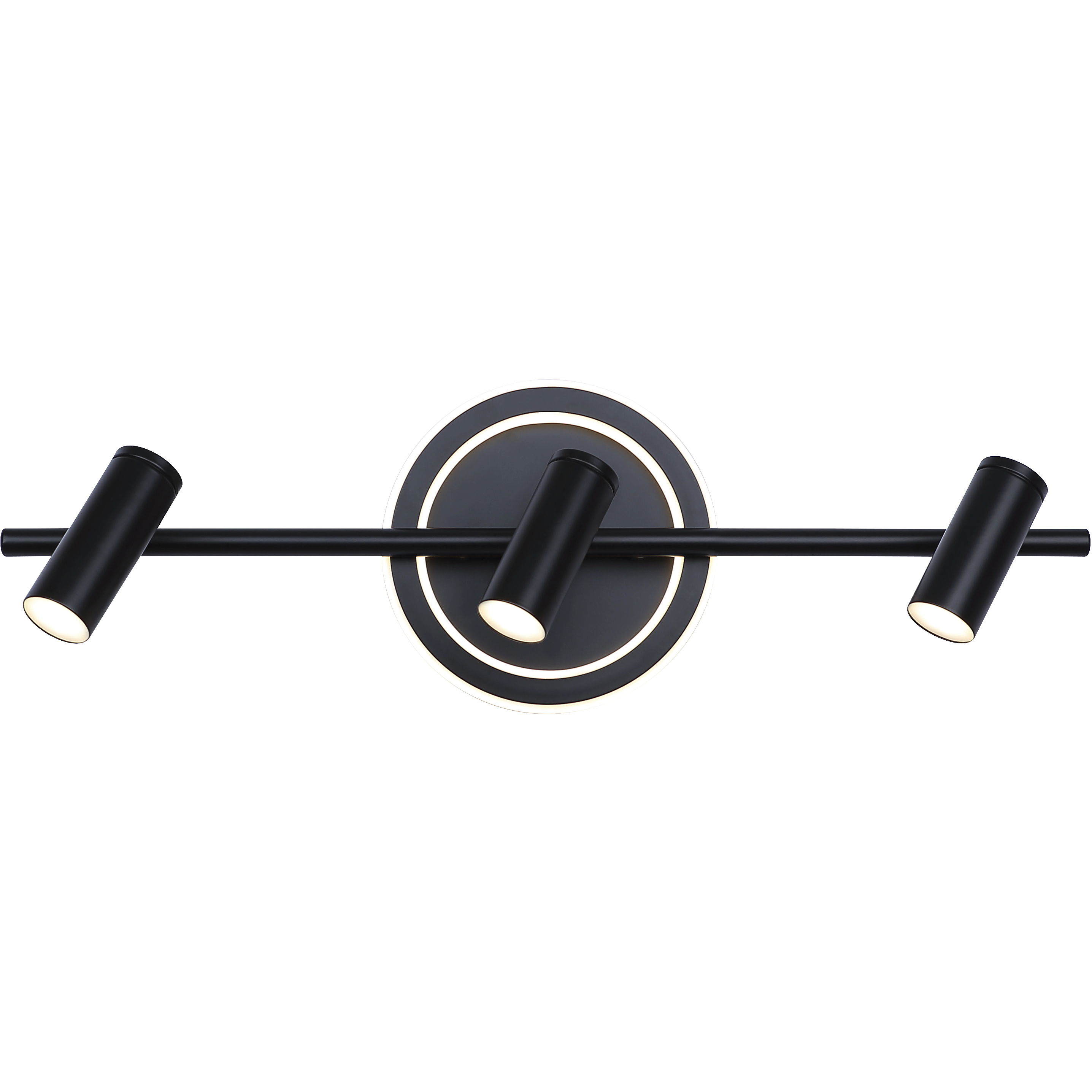 Denver Black Track Lighting Ceiling Light